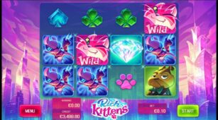 Rich Kittens demo play free 1