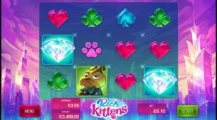Rich Kittens demo play free 3