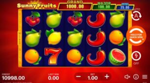 Sunny Fruits demo play free 1