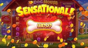The Dog House Megaways 1000 demo play free 2