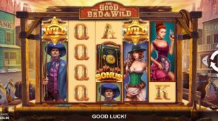 The Good The Bad And The Wild demo play free 3