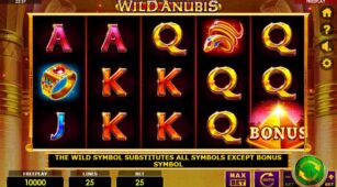 Wild Anubis demo play free 0