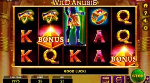 Wild Anubis demo play free 1