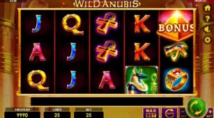 Wild Anubis demo play free 2