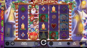 Wild Stocking demo play free 2