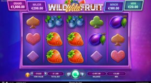 Wild Wild Fruit demo play free 2