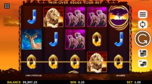 Animals Of Africa demo play free 2
