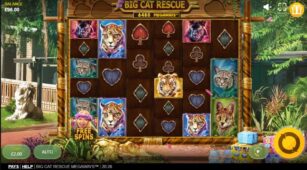 Big Cat Rescue Megaways demo play free 1