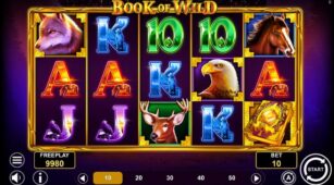 Book Of Wild demo play free 1