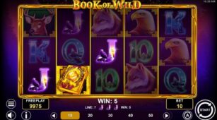 Book Of Wild demo play free 2