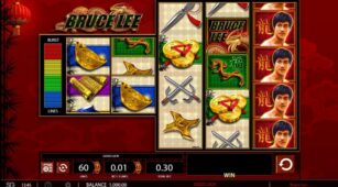 Bruce Lee demo play free 1