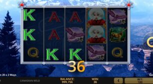 Canadian Wild demo play free 3