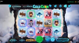 Cold Cash (Booming Games) demo play free 0