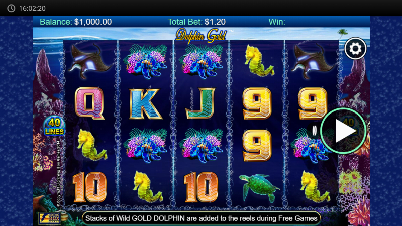 Dolphin Gold