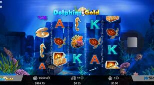 Dolphins Gold demo play free 1