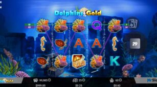 Dolphins Gold demo play free 3