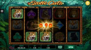 Exotic Cats demo play free 0
