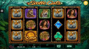 Exotic Cats demo play free 1