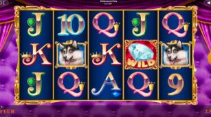 Hollywood Pets demo play free 0