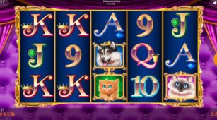 Hollywood Pets demo play free 2