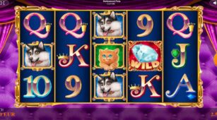Hollywood Pets demo play free 3