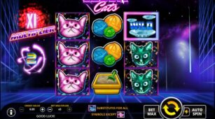 Laser Cats demo play free 3