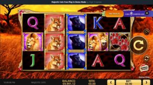 Majestic Cats demo play free 0