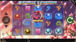 Mistress Of Fortune demo play free 0