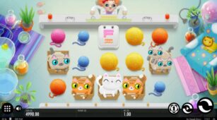 Not Enough Kittens demo play free 1