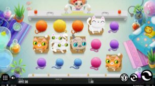 Not Enough Kittens demo play free 2