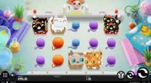 Not Enough Kittens demo play free 3