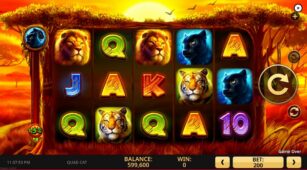 Quad Cat demo play free 1