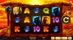 Quad Cat demo play free 3