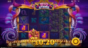 Rio Stars demo play free 1
