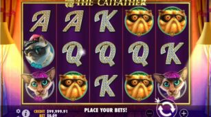 The Catfather demo play free 0