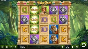 Tiger Tiger demo play free 0