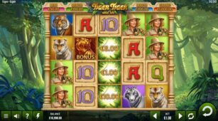 Tiger Tiger demo play free 1