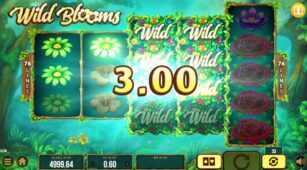 Wild Bloom demo play free 3