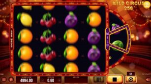 Wild Circus 256 demo play free 0