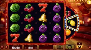 Wild Circus 256 demo play free 1