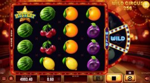 Wild Circus 256 demo play free 2