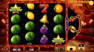 Wild Circus 256 demo play free 3