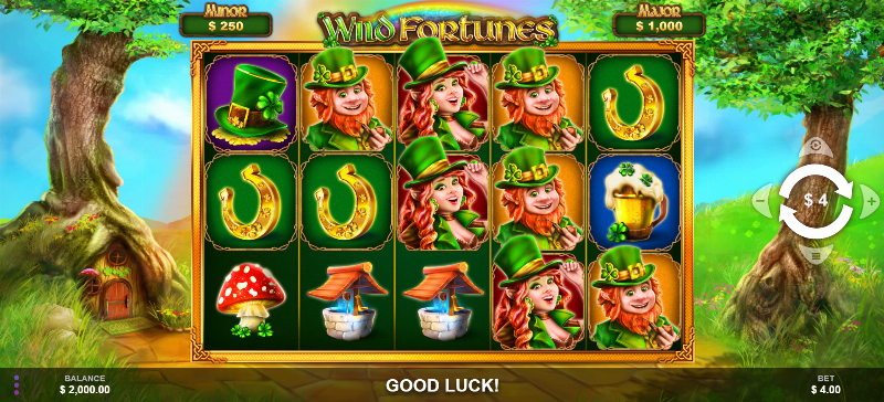 Wild Fortunes