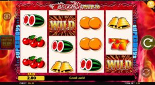 7’S Deluxe Wild Fortune Play demo play free 3