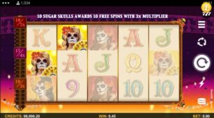 Beautiful Bones demo play free 2