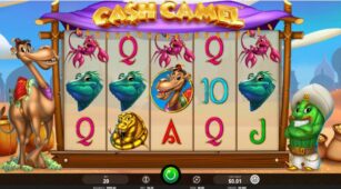 Cash Camel demo play free 1
