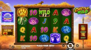 Cheetah Wild demo play free 1