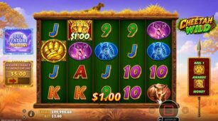 Cheetah Wild demo play free 2