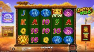 Cheetah Wild demo play free 3