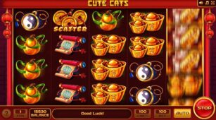 Cute Cats demo play free 2